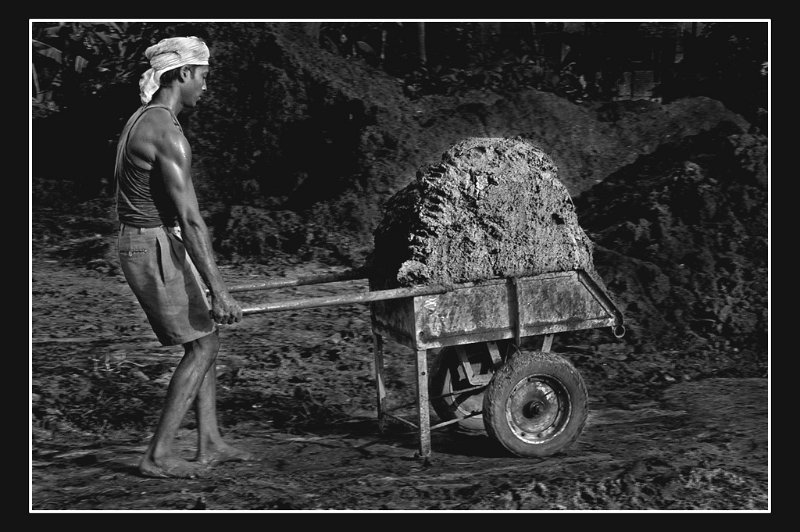 40 - mud puller - VASIREDDY BALAJI RAO - india.jpg